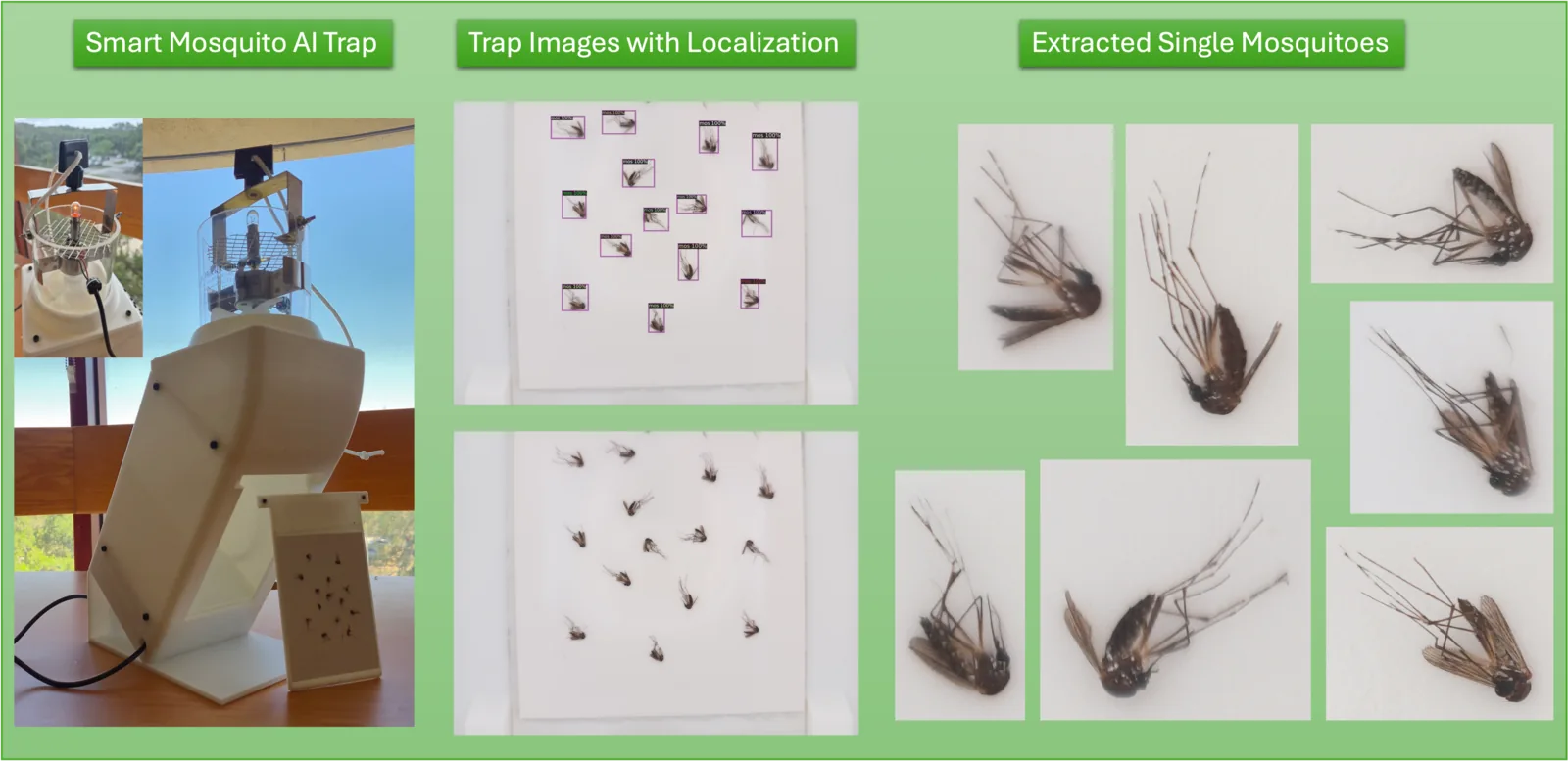 Edge-to-cloud smart mosquito trap